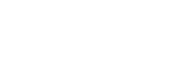 The Noodle Collective